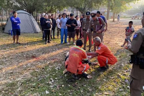 Voi hoang dẫm chết du khách tại Thái Lan