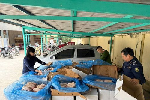 Hà Nội: Phát hiện gần 2 tấn xương lợn không rõ nguồn gốc