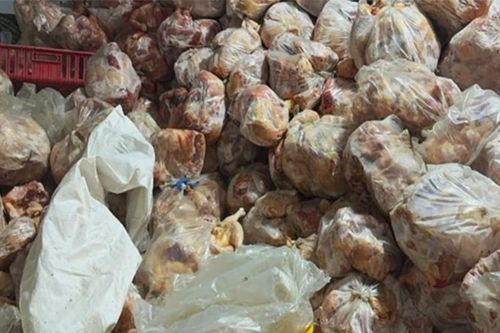 Thu giữ hơn 10 tấn gà không nguồn gốc tại một cơ sở giết mổ lậu
