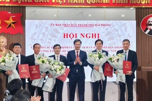 Kiện toàn, tổ chức lại, điều động, bổ nhiệm nhân sự các Ban Quản lý Dự án