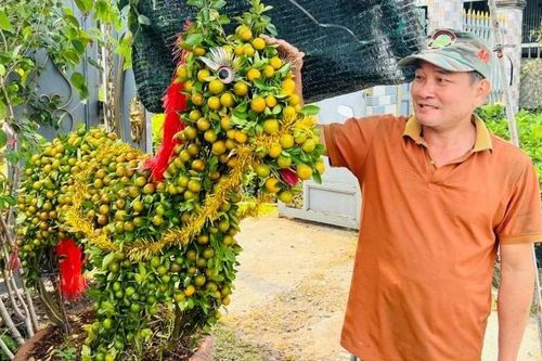 Độc đáo nghề tạo dáng cây cảnh trong dịp Tết