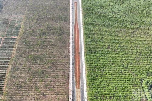 Đồng Nai khởi công, thông xe kỹ thuật 5 dự án chào mừng Ngày thành lập Đảng