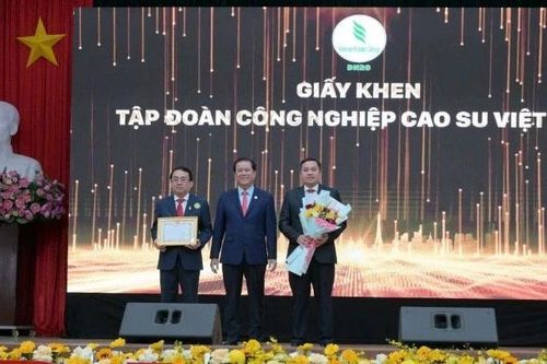 Tổng Công ty Cao-su Đồng Nai dẫn đầu năng suất ngành cao-su, đạt 2,62 tấn/ha