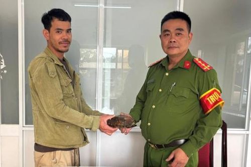 Tái thả động vật hoang dã