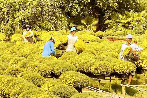 Tất bật làng nghề