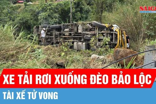 Lâm Đồng: Xe tải rơi xuống đèo Bảo Lộc, tài xế tử vong