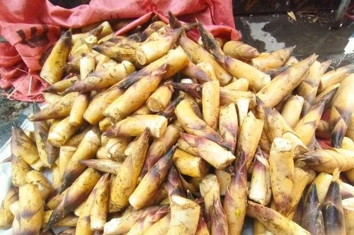 Măng vầu Tây Bắc đầu mùa giá cao vẫn 'cháy hàng'