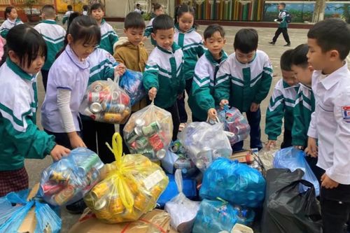 Đưa giáo dục môi trường vào trường học: Hướng đến lối sống xanh bền vững từ 'trường học sinh thái'