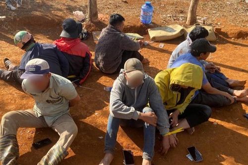 Triệt phá tụ điểm đá gà trong vườn cao su tại xã biên giới
