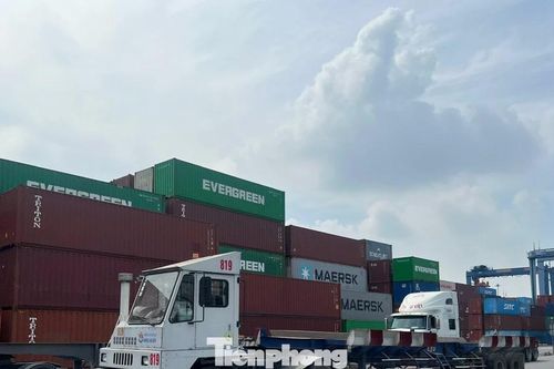 1.200 container hàng hóa ùn ứ tại cảng Cát Lái