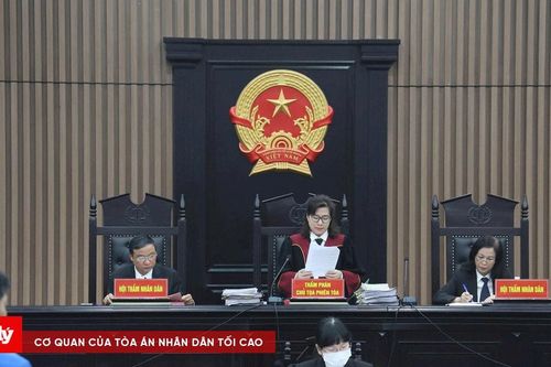 Nhìn lại đề nghị mức án của VKS đối với các cựu lãnh đạo Tổng Công ty Xi măng Việt Nam