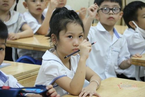 Phụ huynh lo con quên kiến thức, kỳ nghỉ Tết thành 'đợt ôn luyện'