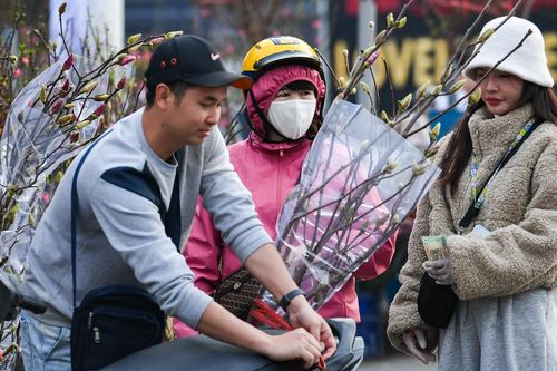 Loại hoa 'ngủ đông' mới lạ vừa xuất hiện ở Hà Nội đã gây sốt