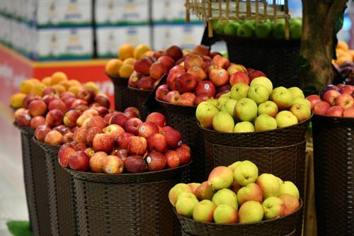 Cấp bách hướng dẫn kiểm tra thực phẩm nhập khẩu, bảo đảm thông quan thông suốt