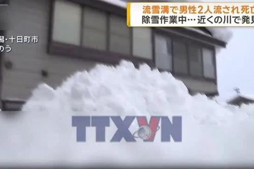 Nhật Bản: Tuyết rơi dày bất thường khiến hàng chục người thiệt mạng