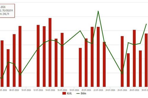 Cổ phiếu niêm yết HNX tháng 1/2026: Thanh khoản tăng 31,41%