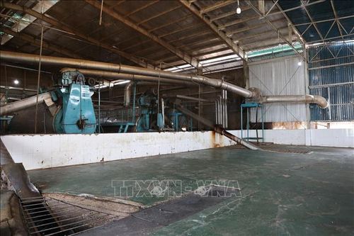 Doanh nghiệp chế biến thủy sản tại TP Hồ Chí Minh 'đói' nguyên liệu