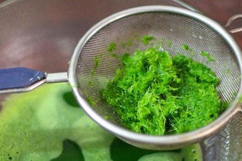 Loại rau hiếm khi 'ngậm' thuốc trừ sâu, ngoài chợ bán rất nhiều