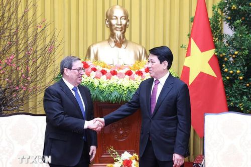 Chủ tịch nước Lương Cường tiếp Đặc phái viên Đảng, Nhà nước Cuba