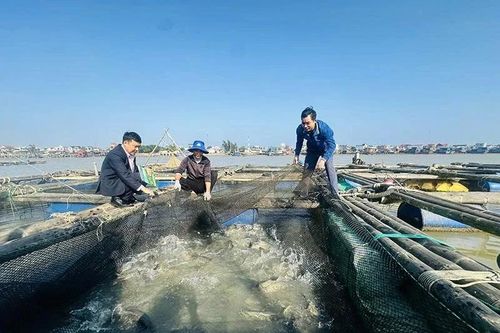 Tiếp sức cho hộ nghèo sản xuất, kinh doanh