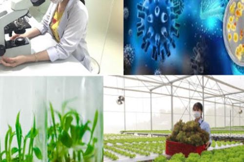Năm 2028, sẽ có bộ chỉ tiêu thống kê công nghệ sinh học phục vụ phát triển