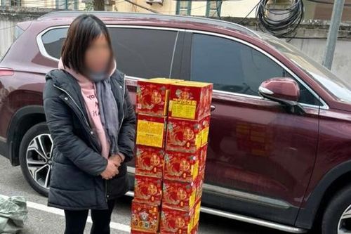 Công an xã Lạng Giang bắt đối tượng tàng trữ 131kg pháo hoa nổ