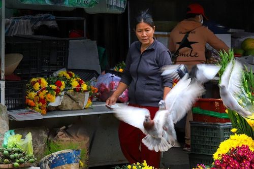Tháng Chạp trong thư tịch