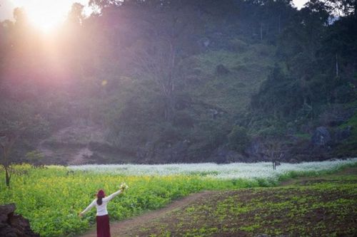 Mộc Châu: Khám phá bản Tà Phình hoang sơ ví như Tràng An thu nhỏ
