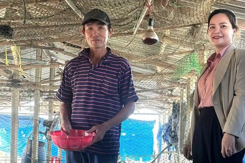 Chi hội trưởng nông dân gương mẫu, làm kinh tế giỏi ở An Nhơn Nam
