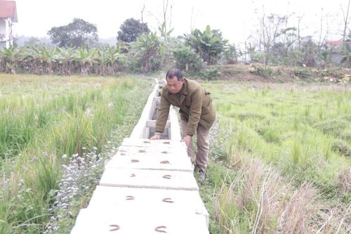 Đảm bảo nước tưới vụ xuân
