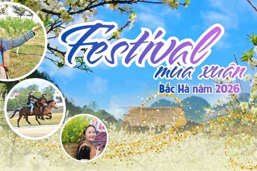 INFOGRAPHIC: Festival Mùa Xuân Bắc Hà 2026