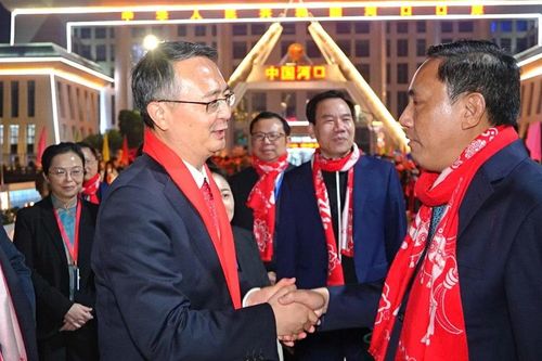 Đoàn đại biểu Đảng, chính quyền tỉnh Lào Cai nhập cảnh về nước