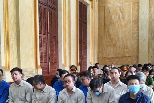 Xét xử vụ nhận hối lộ tại Chi cục Thú y Vùng VI: Các bị cáo khai là tiền cảm ơn