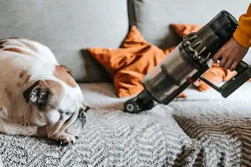 12 cách hiệu quả để giảm thiểu ô nhiễm không khí trong nhà