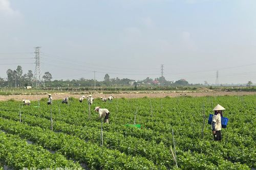 Sức bật mới ở Nhân Hà