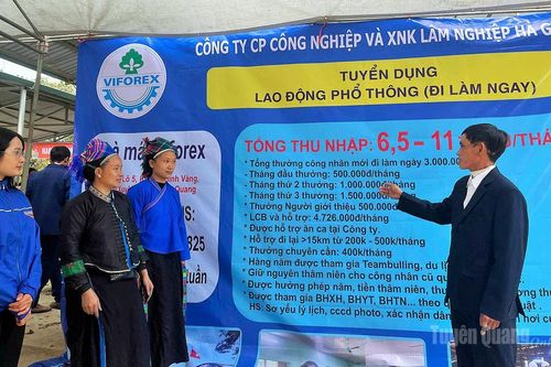 Hội chợ việc làm và xúc tiến Thương mại xã Thàng Tín năm 2026