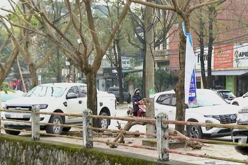 Nghệ An sẽ xử lý nghiêm vi phạm chiếm dụng vỉa hè làm nơi đỗ xe