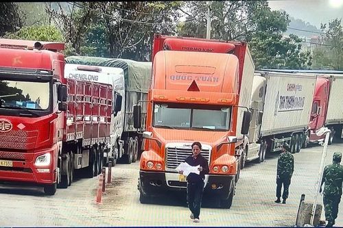 Trước 5/2/2026, ban hành hướng dẫn kiểm tra thực phẩm nhập khẩu theo Nghị định 46