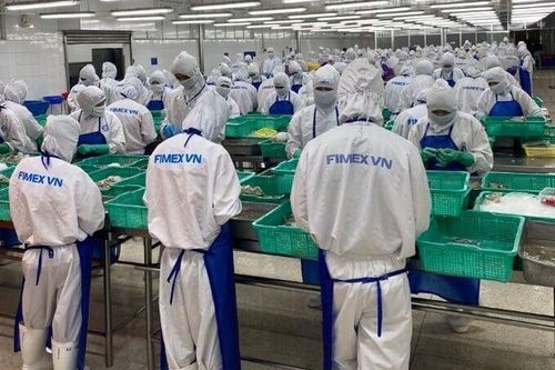 Doanh thu Thực phẩm Sao Ta giảm mạnh trong tháng 1/2026
