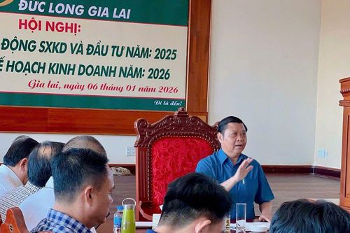 Đức Long Gia Lai: Quyết tâm xóa sạch nợ xấu, đột phá vươn lên từ 'đôi cánh' năng lượng và hạ tầng