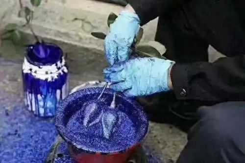 Mối nguy ẩn sau những cánh hoa được nhuộm màu: Kỳ 2: 'Hô biến' hoa hồng thành màu xanh nhờ thuốc nhuộm