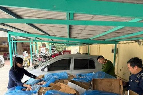 Hà Nội: Phát hiện gần 2 tấn xương, móng lợn không rõ nguồn gốc