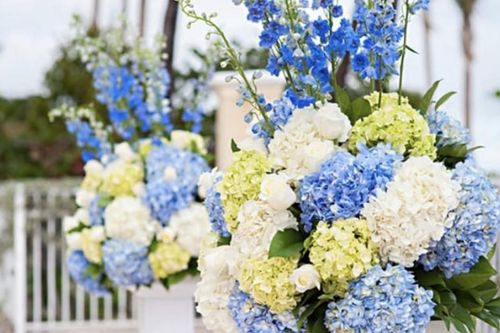 Những cách cắm hoa cẩm tú cầu độc đáo, tươi lâu chơi Tết