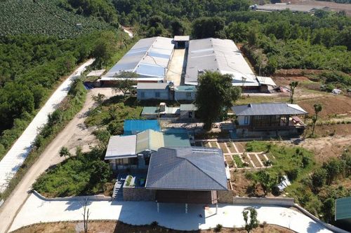 Sau phản ánh của Gia đình và Xã hội, Phú Thọ yêu cầu xác minh các trang trại chăn nuôi tại Cao Dương