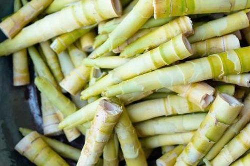 Măng tre có tác dụng gì?