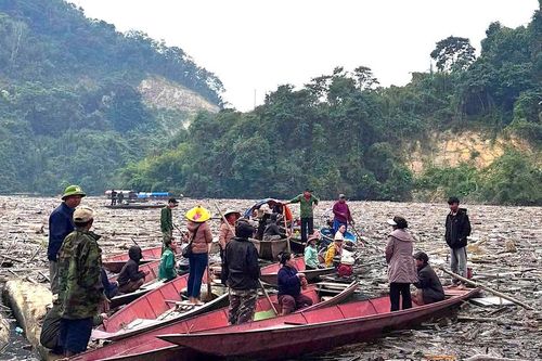 Rác gỗ vây kín lòng hồ thủy điện