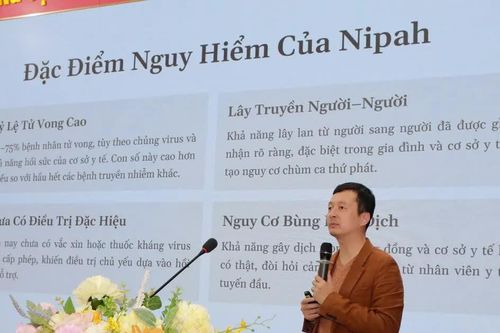 Hà Nội chủ động phương án ứng phó với virus Nipah