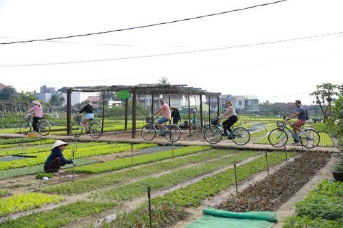 'Chạm về nguyên bản' để phát triển bền vững