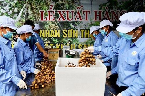 Nông sản Việt đổi trục phát triển từ 'lượng' sang 'chất'