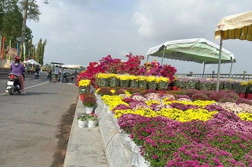 Vĩnh Long rạng rỡ sắc xuân 'lên phố'
